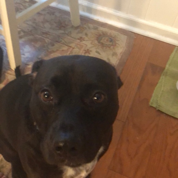 Meet your Posher, Evan - Picture 1 of 1